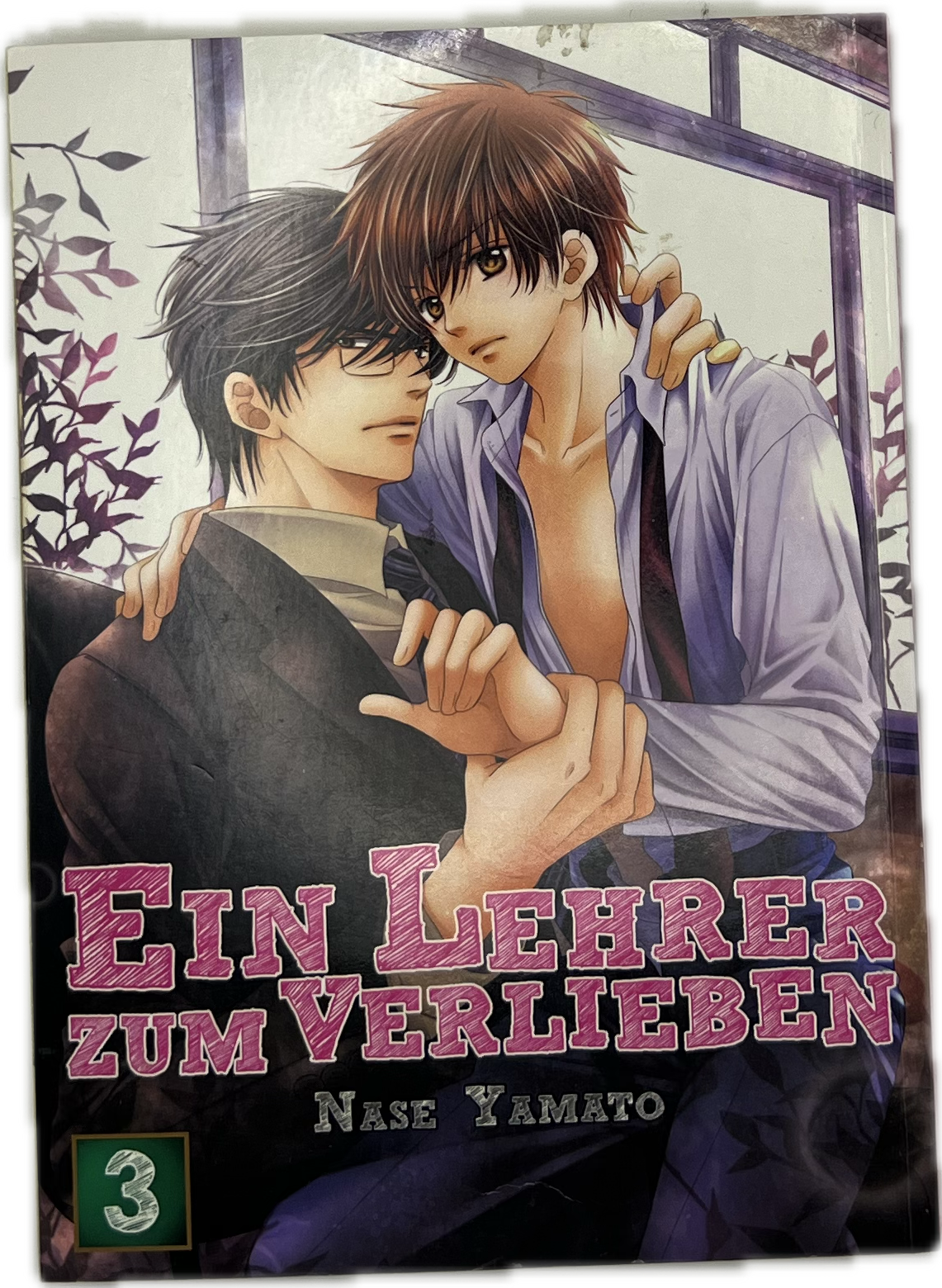 Ein Lehrer zum Verlieben 03
