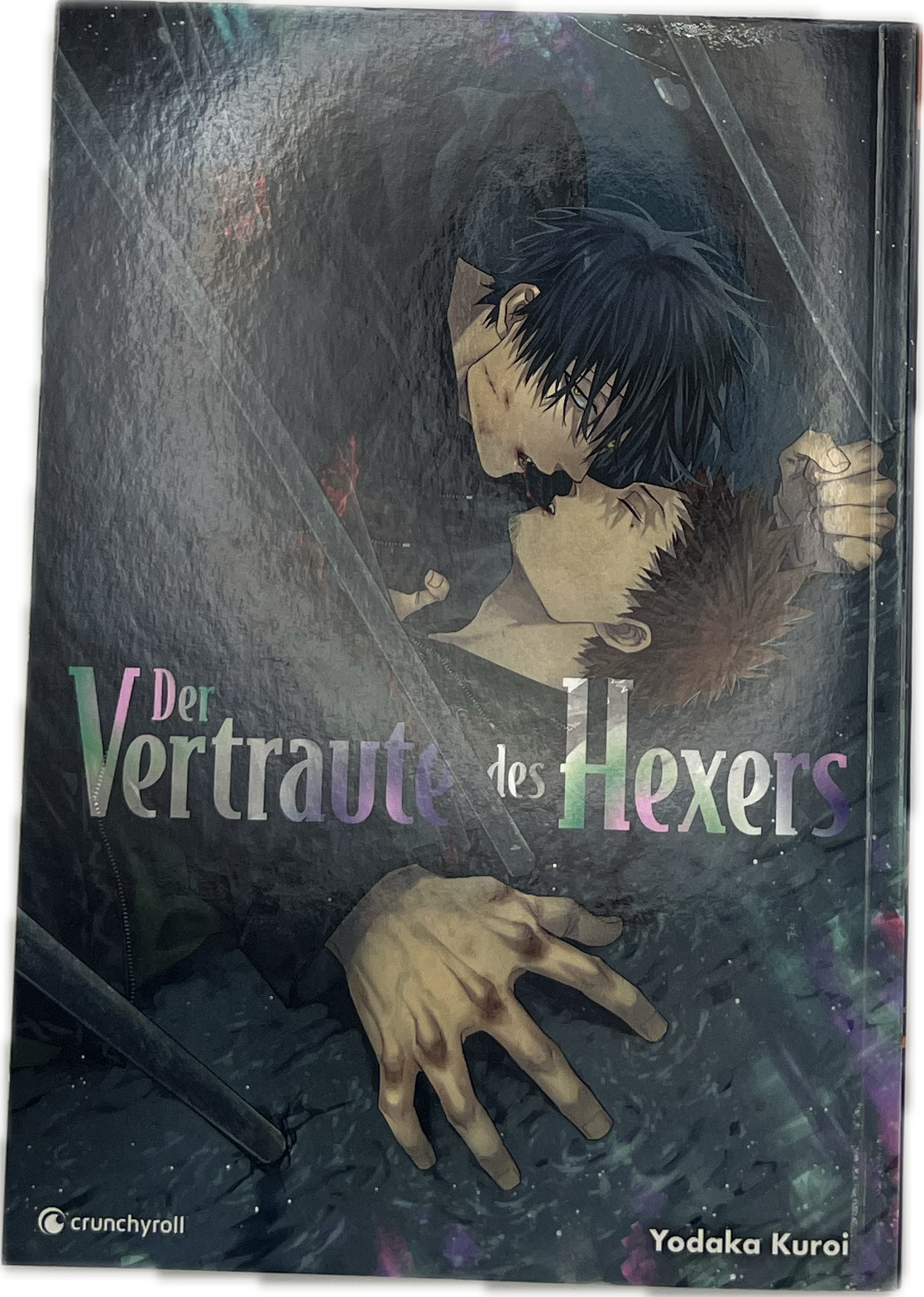 The Witcher's Confidant