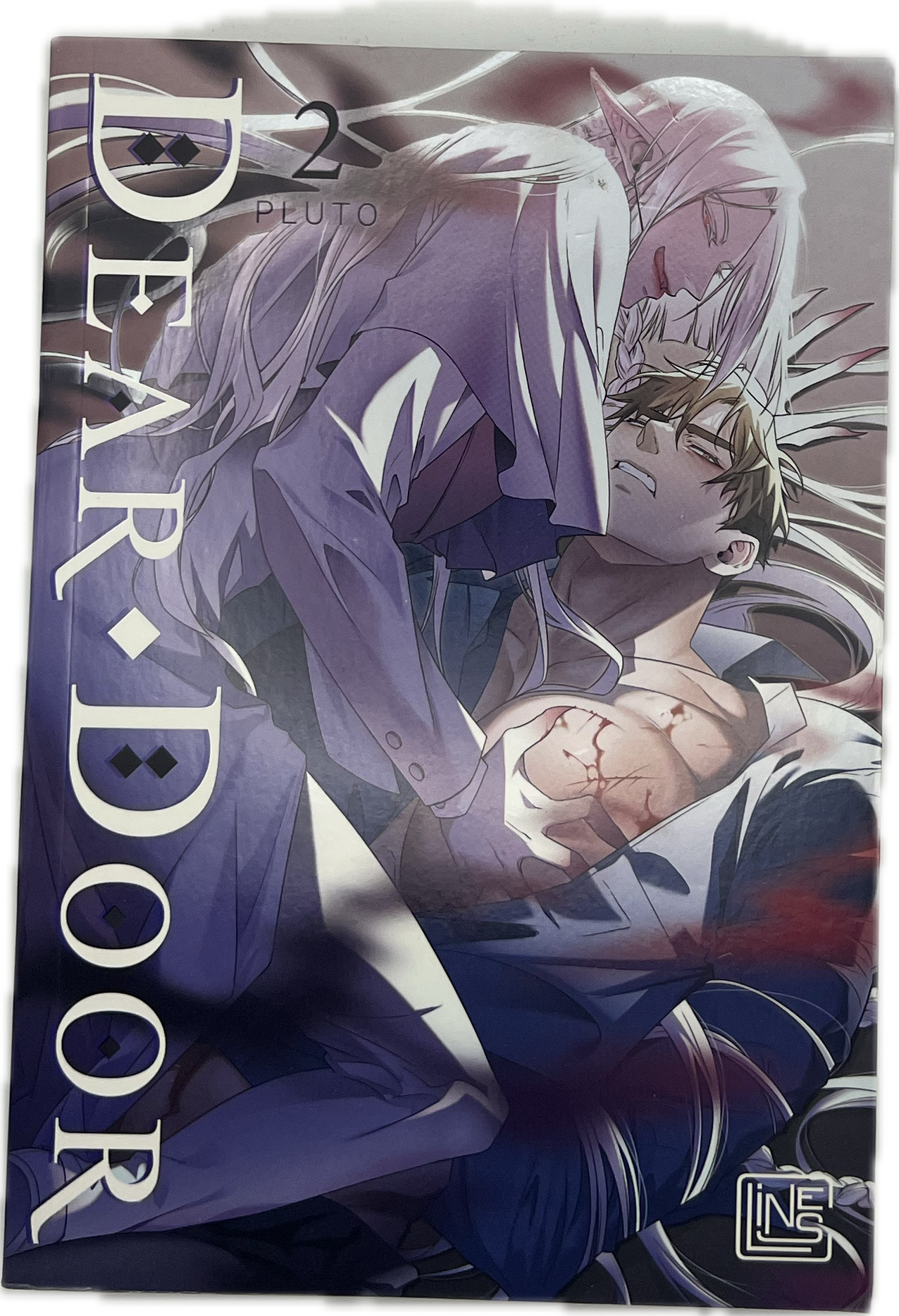 Dear Door 02