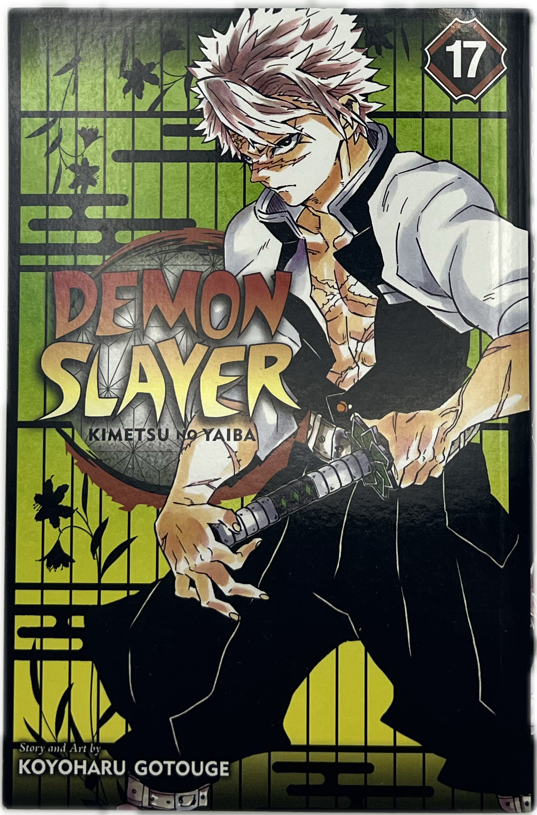 Demon Slayer 17 Englisch