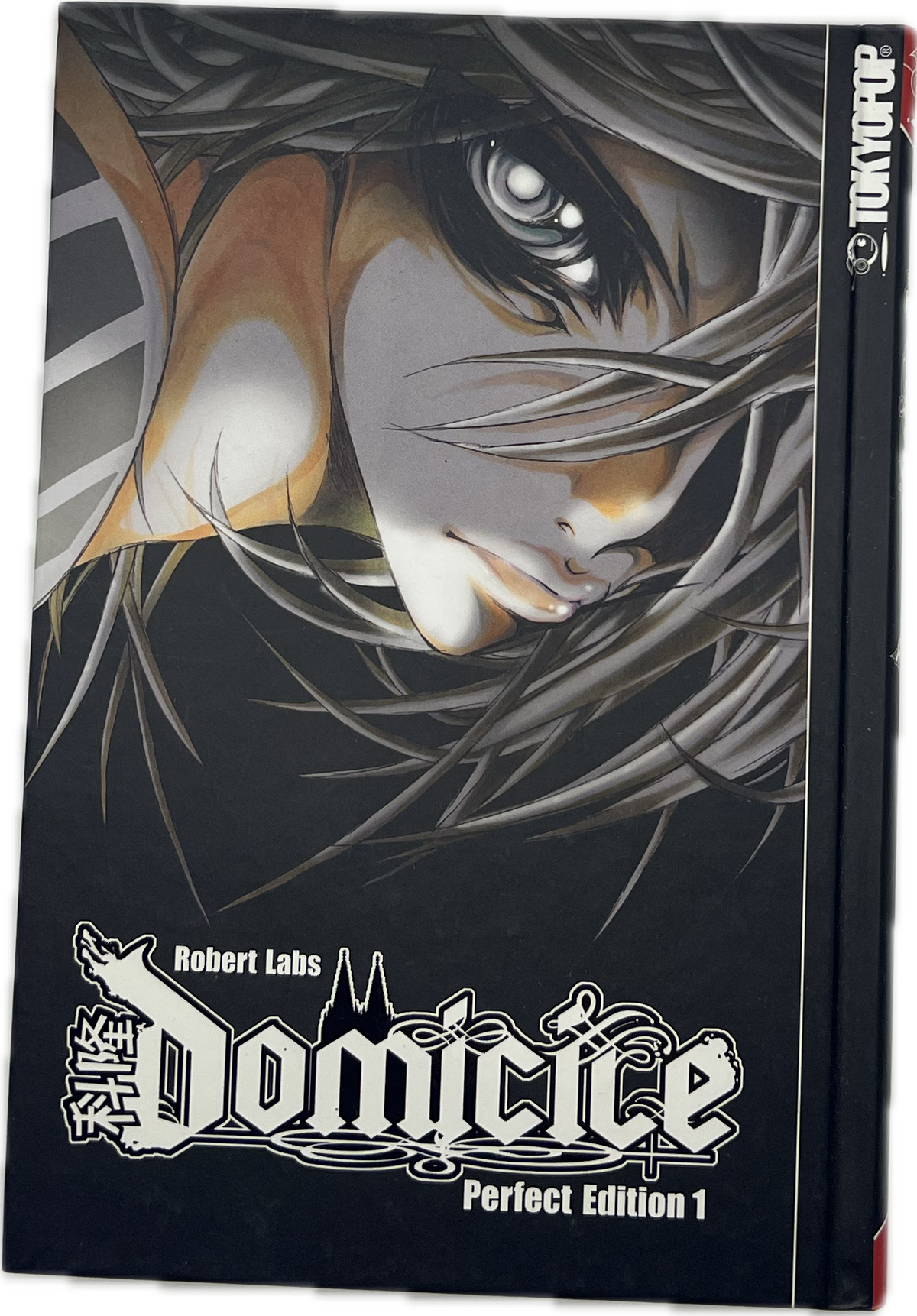Domicile - Perfect Edition 01