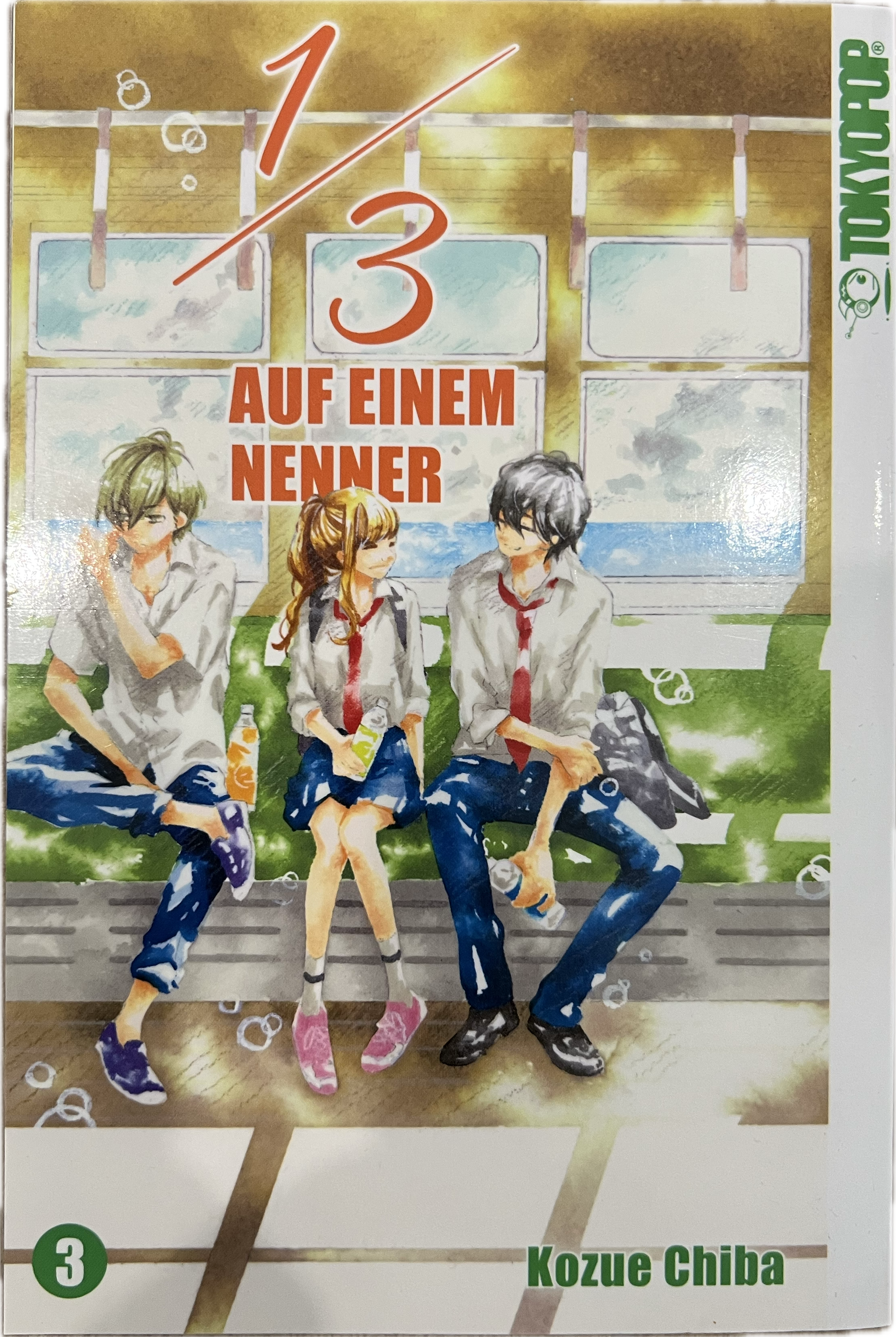 1/3 auf einem Nenner 03