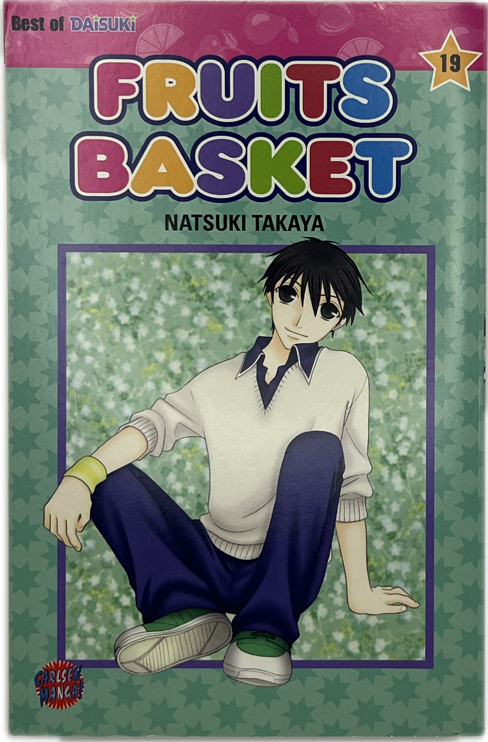Fruits Basket 19