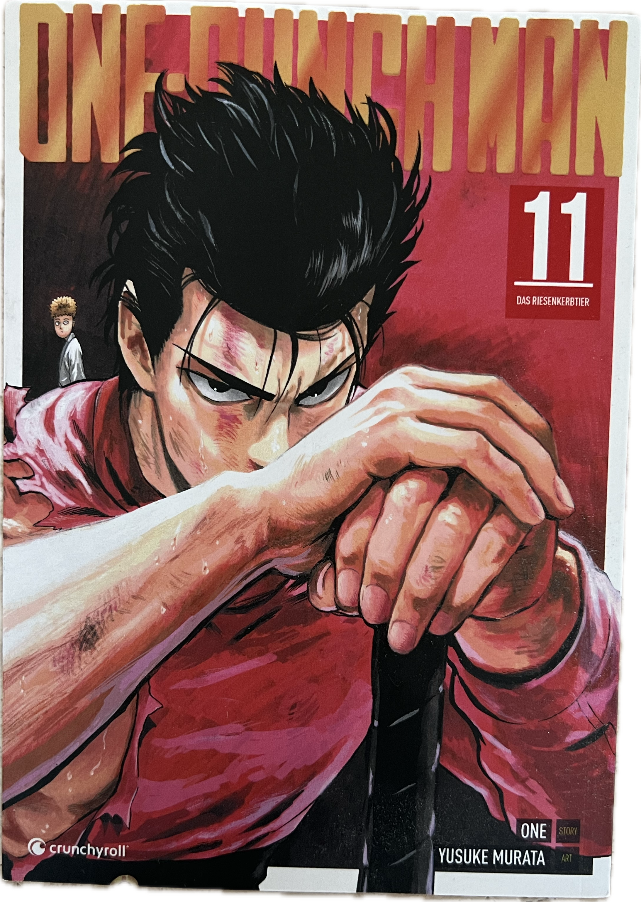 One Punch Man 11