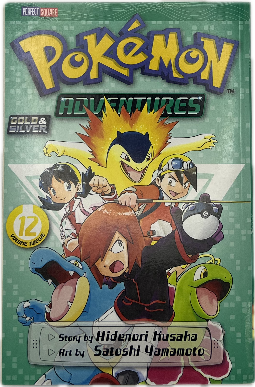Pokemon Adventures 12 English
