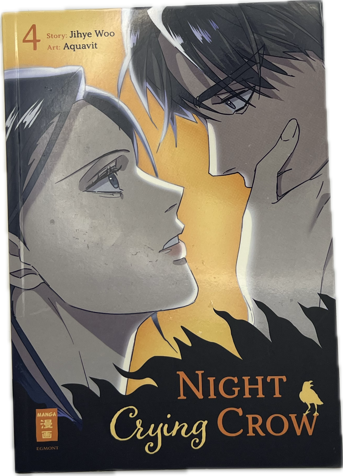 Night Crying Crow 04 | Manayga