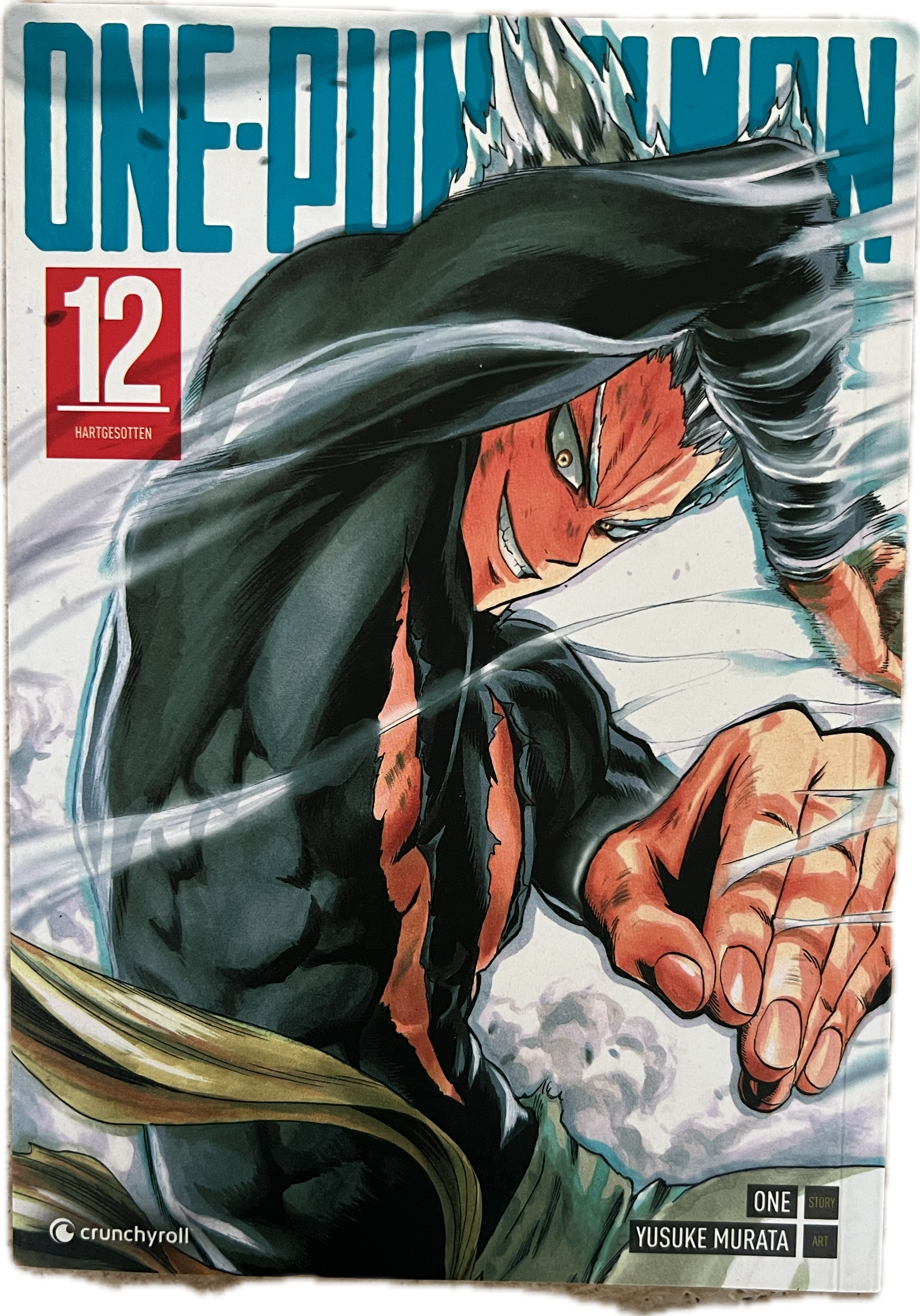 One Punch Man 12