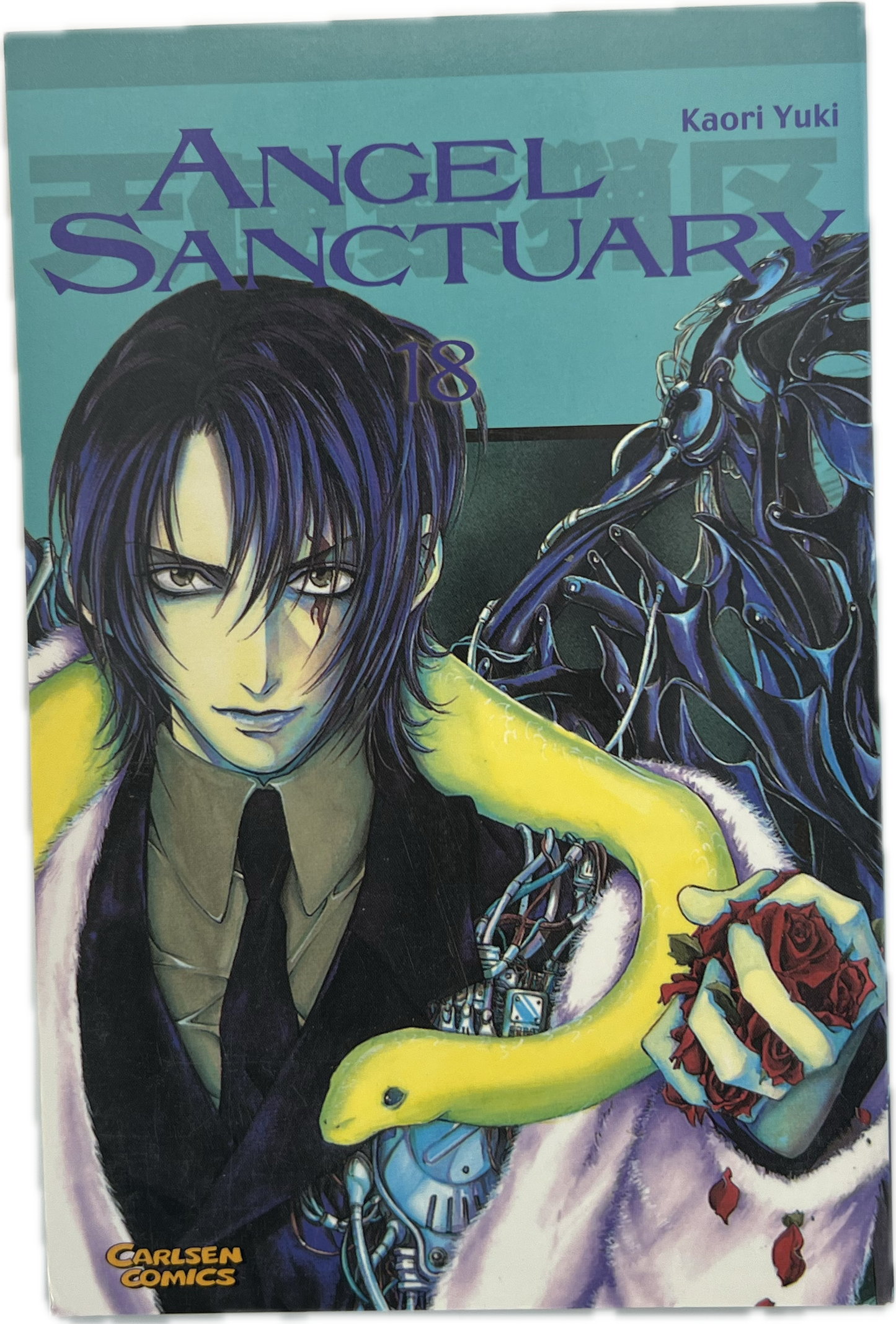 Angel Sanctuary 18
