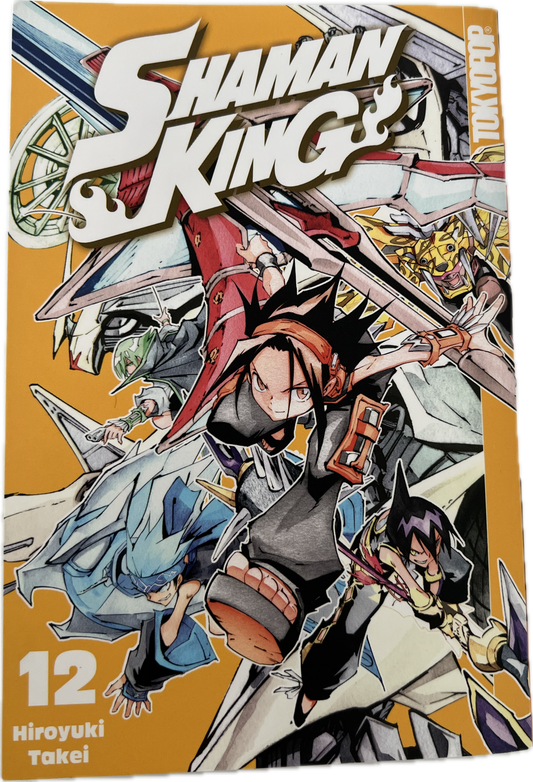 Shaman King 12 New Edition