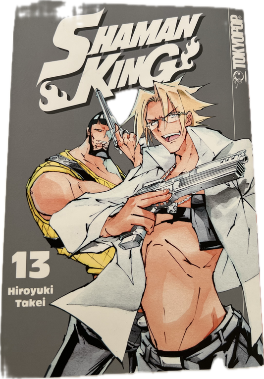 Shaman King 13 New Edition