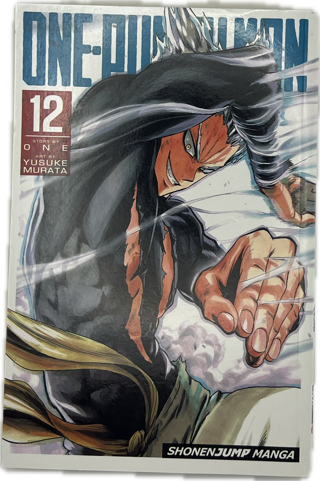 One Punch Man 12 Englisch