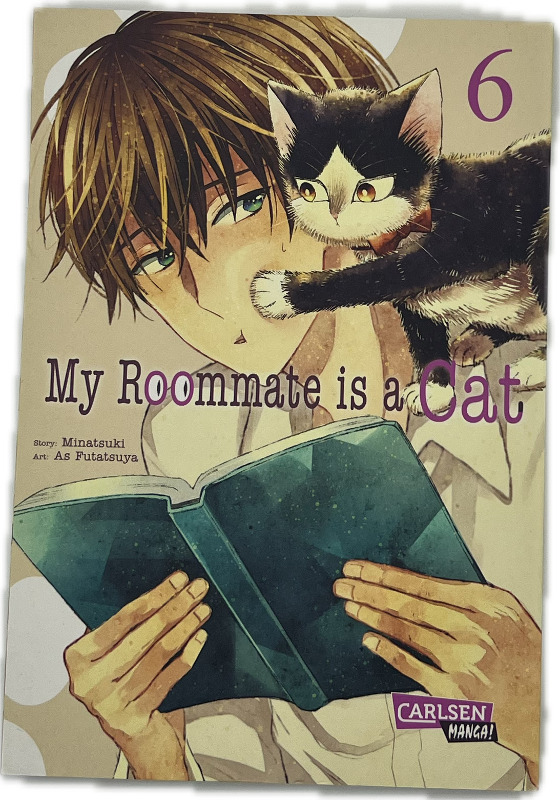 My Roommate is a cat 06