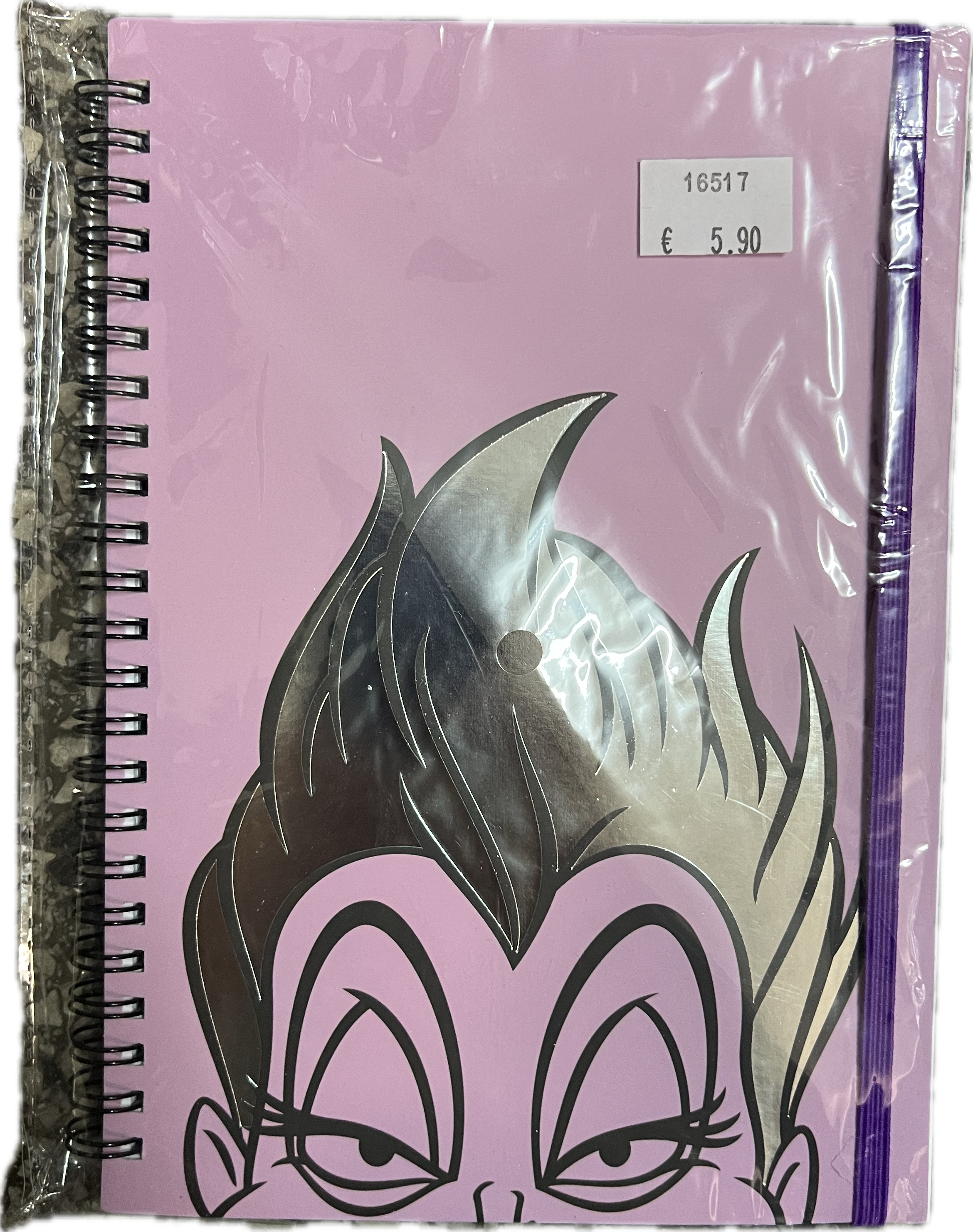 Disney Notizbuch