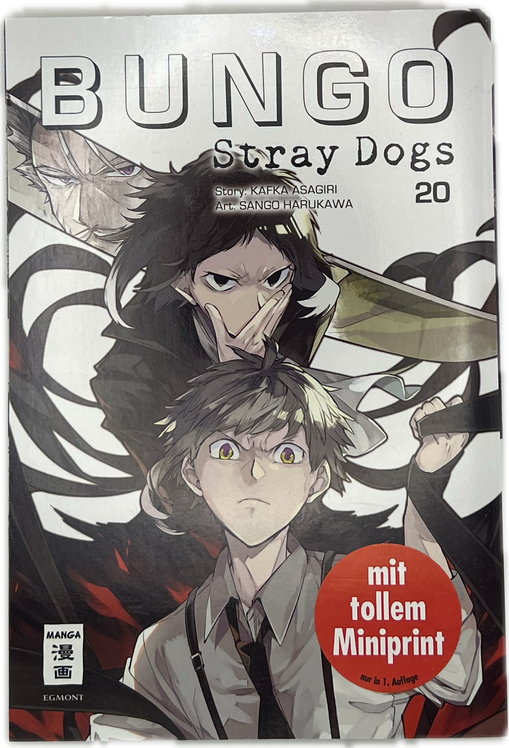 Bungo Stray Dogs 20